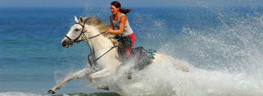 Location Landes Mimizan Plage Daire Dış mekan fotoğraf